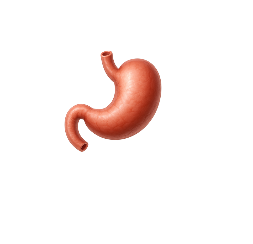 <span style="font-weight: bold;">гастроэнтеролог </span>