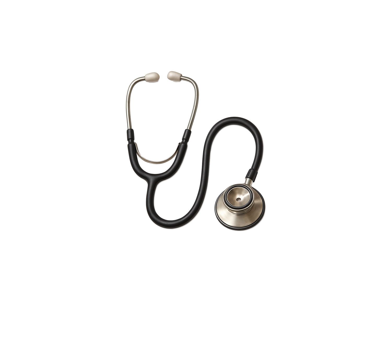 <span style="font-weight: bold;">Терапевт</span><br>